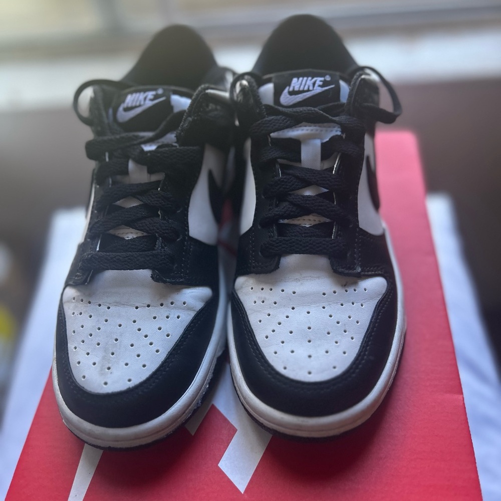 Nike Dunk Low GS White and Black Sneakers